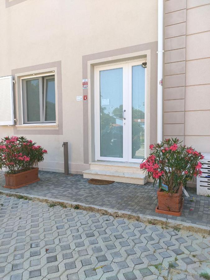 Monopat Hotel Marina Di Pisa Eksteriør billede